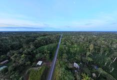 Cultivos de palma de aceite y balsa detonan deforestación al norte de Amazonía ecuatoriana