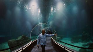 Brasil inaugura AquaRio, el acuario más grande de Sudamérica