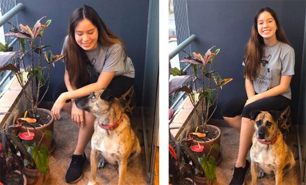 Y encima de todo, a Apolo le encanta posar para las fotos.