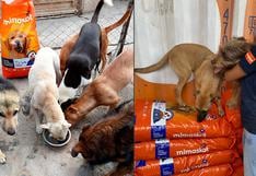 ¡Juntos por los perros! WUF y Mimaskot unieron fuerzas para llevar comida a albergues durante seis meses