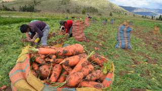 Minagri: Producción agropecuaria crece 4,3% entre enero y abril en el 2019