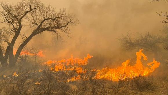 Fotografía proporcionada por Greenville, Texas Fire-Rescue mientras ayudaba a contener un incendio forestal en la región Panhandle de Texas, EE. UU., 27 de febrero de 2024 (publicada el 28 de febrero de 2024) | Foto: EFE/EPA/GREENVILE, TX FIRE-RESCUE
