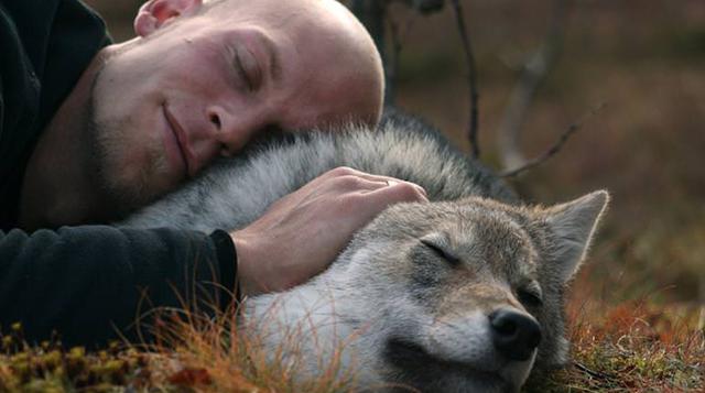 Interactúa con los lobos en este parque de Noruega - 1