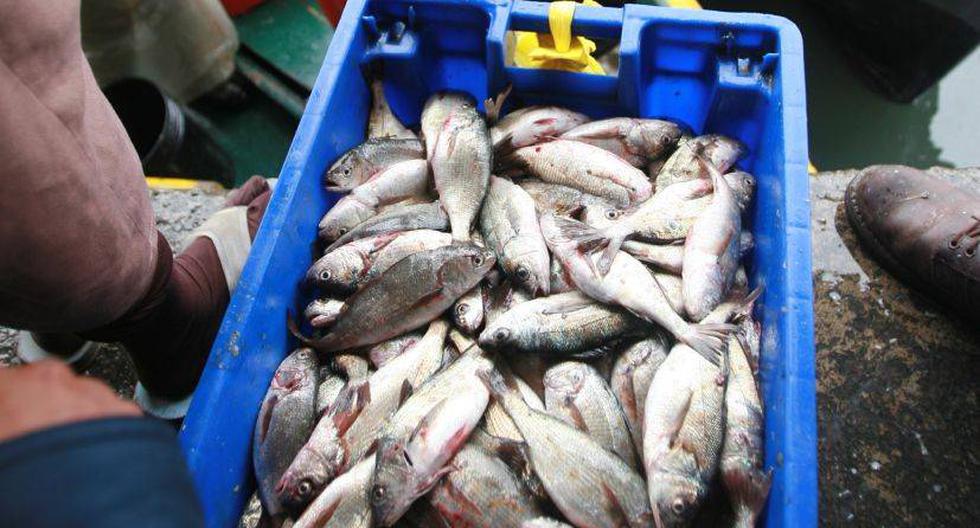 El jurel es el pescado más consumido por los peruanos. Foto referencial. (Fuente: USI)