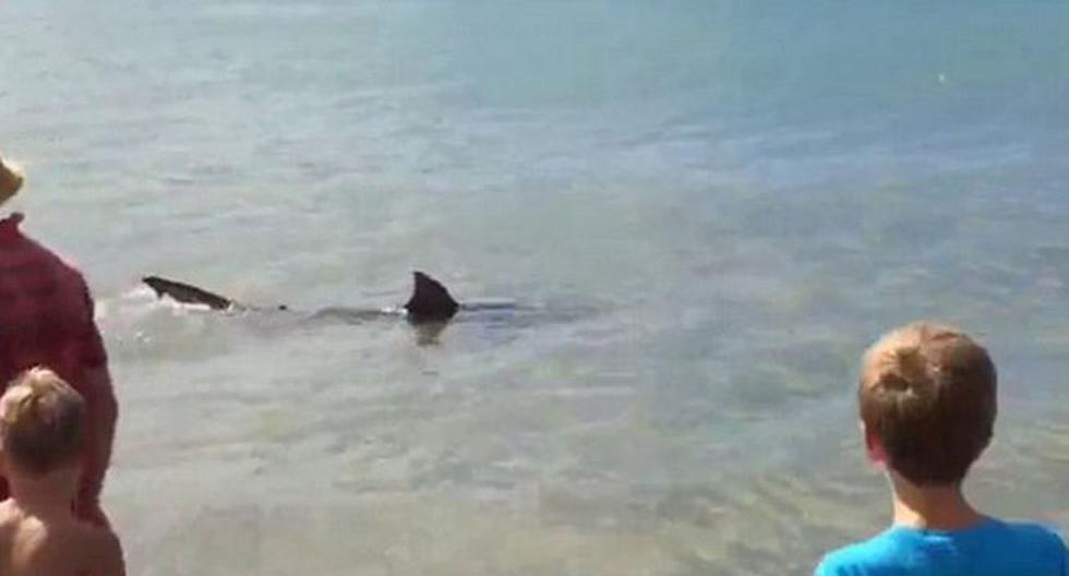 Tiburón siguió hasta la orilla a los bañistas. (Foto: Captura de YouTube)