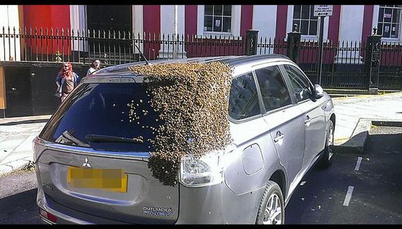 ¿Por qué 20 mil abejas se pegaron a esta Mitsubishi? [VIDEO]