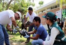 Perú entrega a Ecuador 26 tortugas galápagos incautadas en bus 