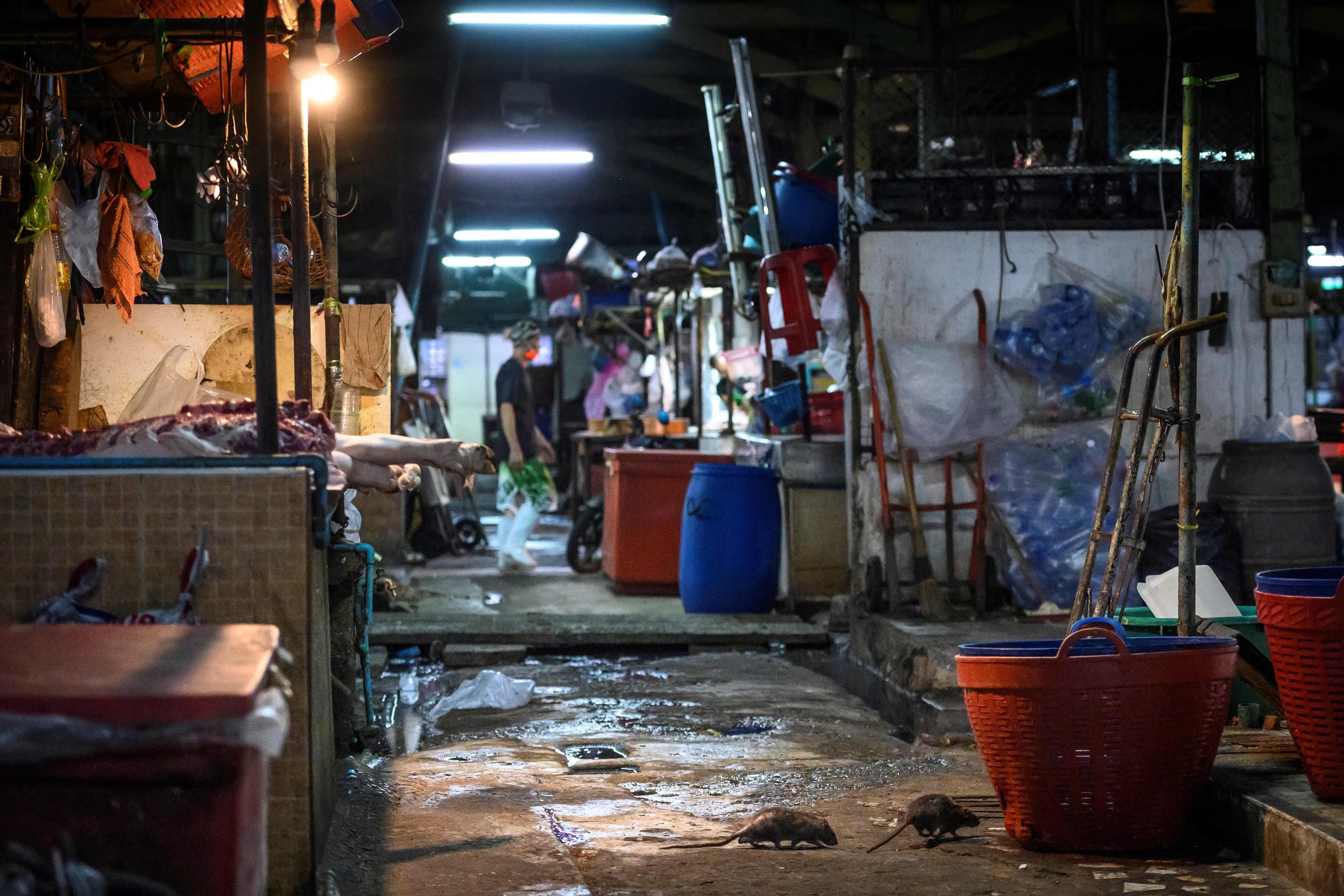 El mercado húmedo de Klong Toei en Bangkok, Tailandia, muestra claras señales de insalubridad. Según PETA Asia-Pacífico, los países con más mercados húmedos son China, Tailandia, Indonesia, Camboya, Vietnam, Laos y Filipinas. (Foto: Mladen Antonov / AFP)
