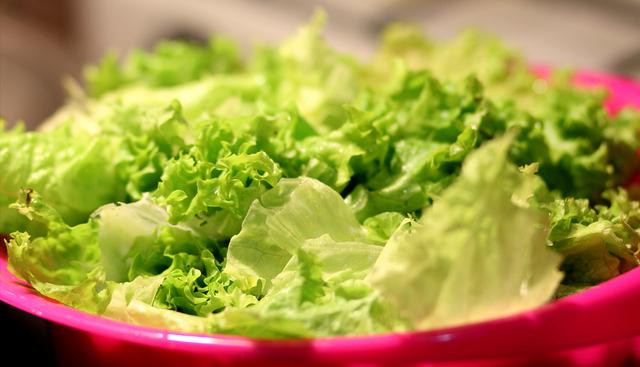 Facebook viral: Familia se disponía a comer ensalada sin imaginar que se encontrarían con un singular 'intruso' | Estados Unidos | Wisconsin | FB | Face