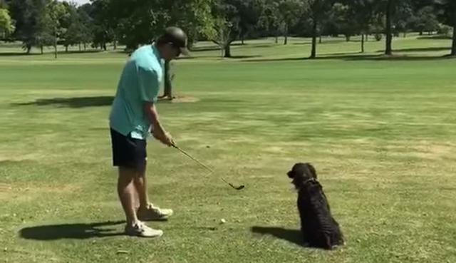 El hombre estuvo acompañado de su perro en un campo para practicar golf. (YouTube: ViralHog)