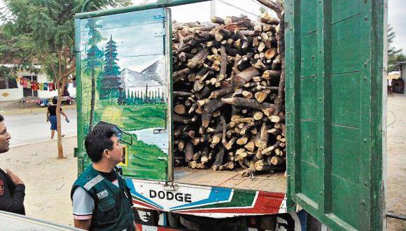 Más de 95 mil árboles fueron extraídos ilegalmente el 2015