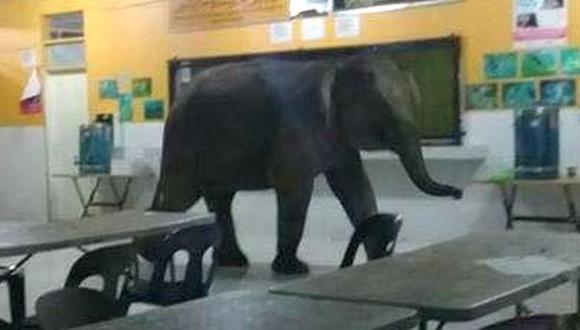 El elefante en pleno salón de clase. (Foto: Facebook)