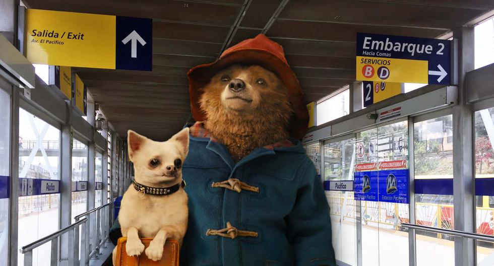 El oso Paddington regresa al Perú en su recientemente anunciada tercera película. En la imagen, un hipotético encuentro entre el protagonista, acostumbrado a usar transporte público de Londres, en una de las estaciones del Metropolitano de Lima.