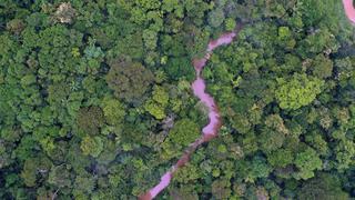 Día Mundial de Protección de la Naturaleza: desde cuándo y por qué se celebra el 18 de octubre