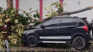 Loreto: árboles caídos y techos rotos tras fuertes vientos en Iquitos[FOTOS]
