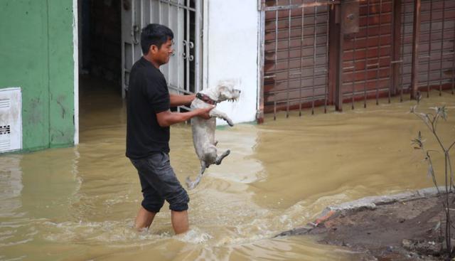 Lo lleva a un lugar seguro. (Foto: Giancarlo Ávila)