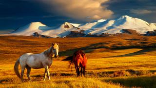 8 imperdibles destinos para recorrer a caballo en el mundo