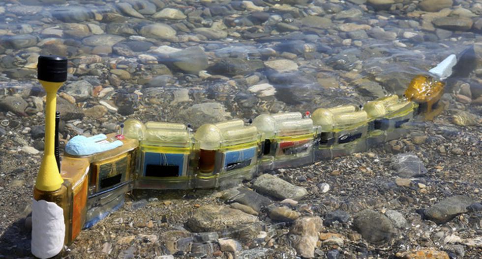 Esta anguila robótica puede encontrar las fuentes de contaminación y medir la toxicidad del agua gracias a sus sensores. (Foto: EFE)
