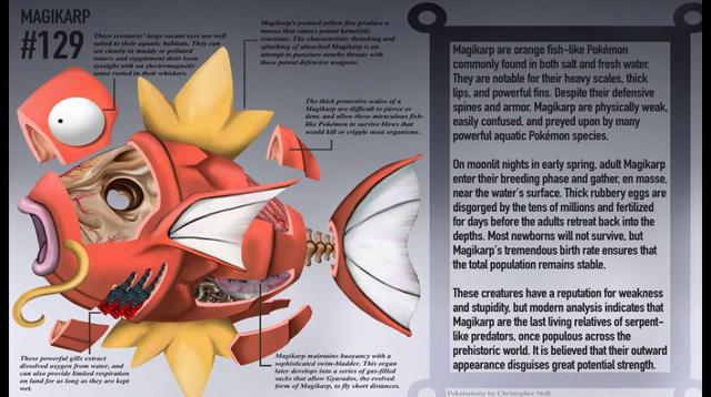 Pokémon Go: artista diseña el interior de los pokémones - 5
