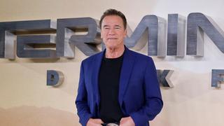 Arnold Schwarzenegger probará suerte en televisión con una serie de acción 