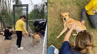 WUF realizó charla de tenencia responsable de mascotas para los niños del ​​Grupo Scout San Borja 58