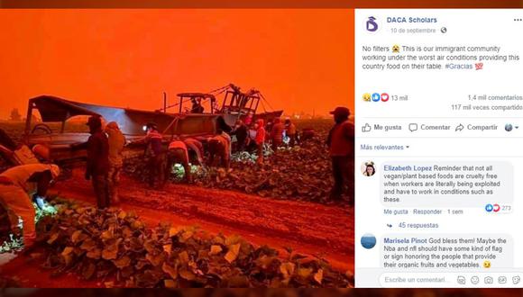 Bajo estas condiciones laboran los trabajadores agrícolas pese a los incendios en Oregon, Estados Unidos. (Foto: captura de Facebook de DACAscholars/ Composición: El Comercio)