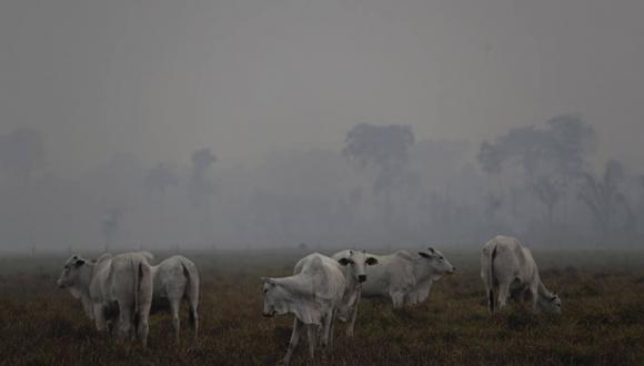 Días sin sol y problemas respiratorios, así se vive por los incendios en la Amazonía. Foto: AP