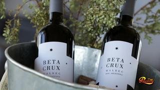 Alfa Crux Beta: aprende todo sobre este vino argentino y su bodega ubicada en Mendoza