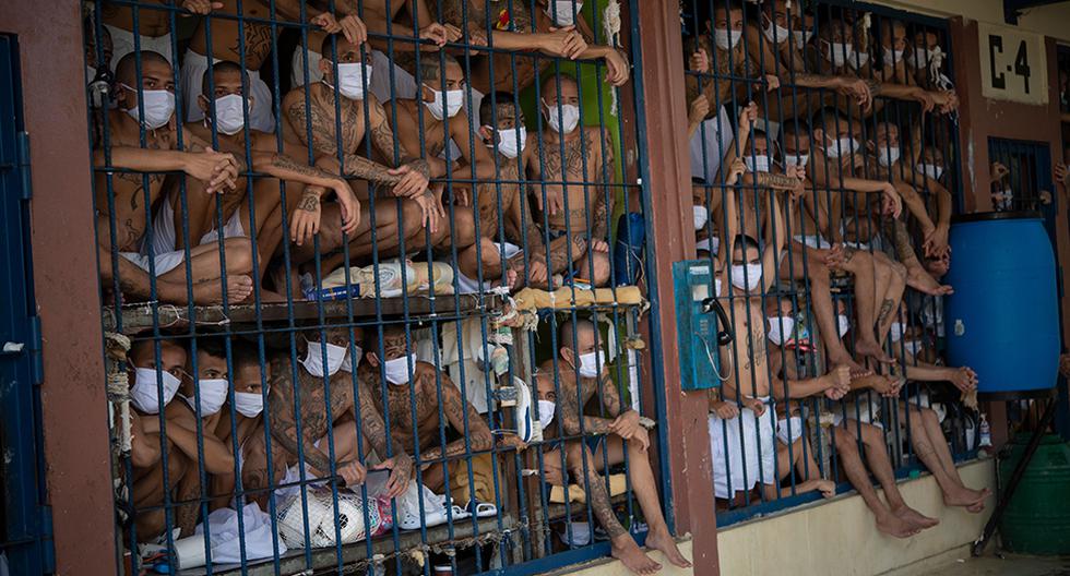 El Salvador tiene la tasa de presos per cápita más alta de América Latina y el Caribe, pero varios países tienen cárceles aún más sobrepobladas. (Foto: AP)