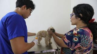 Municipalidad de Lima inaugura veterinaria a costos sociales