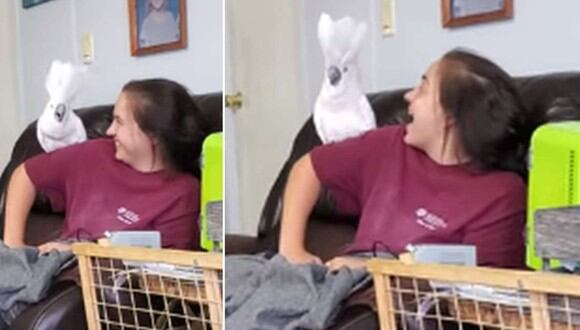 Una joven fue captada gritando con su cacatúa con el fin de averiguar quién lo hace más fuerte. (Foto: ViralHog / YouTube)