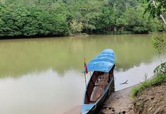 Amazonía peruana perdió 156.000 hectáreas de selva en 2015