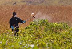 ¿Qué riesgos en la salud producen los pesticidas?