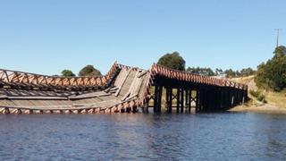 ¿Cómo son los "gusanos de la broma", los moluscos que causaron la caída de un puente en Chile?