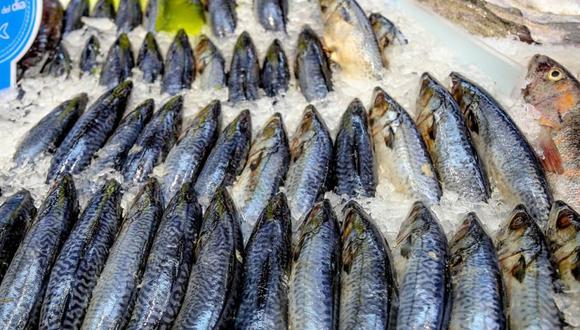 La nutricionista D’Janira Páucar, integrante del Programa Nacional A Comer Pescado, explicó que, según la norma sanitaria para las actividades pesqueras y acuícolas, en el puesto de venta el pescado fresco debe mantenerse a una temperatura cercana a los 0°C. (Difusión)