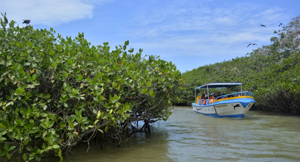tours manglares en tumbes