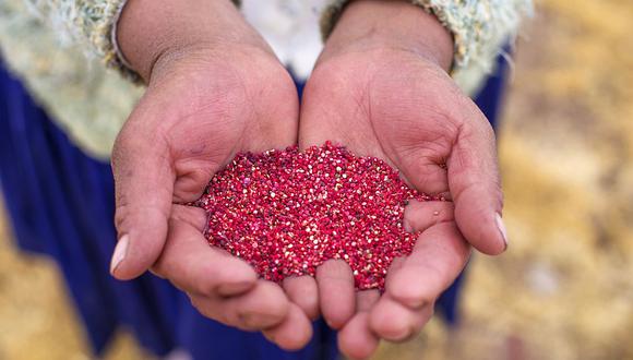 Más de 68 mil pequeños productores de zonas altoandinas se dedican al cultivo de la quinua, según el Midagri. (Foto: GEC)