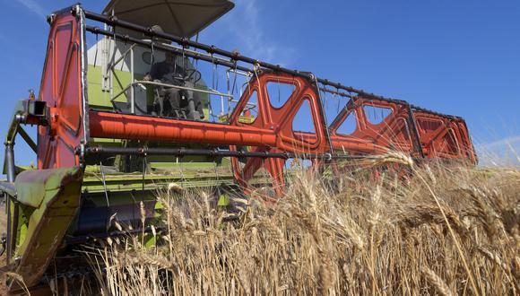 El trigo sería uno de los alimentos que Rusia dejará de exportar a ciertos países que considere "hostiles". (Foto referencial: FETHI BELAID / AFP)