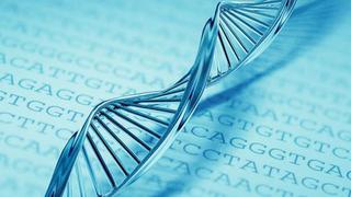 Logran almacenar datos digitales en cadenas de ADN artificial