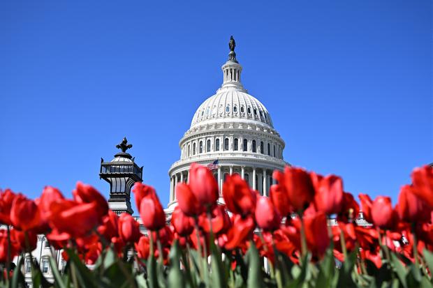 El Capitolio de Estados Unidos en Washington DC, el 24 de marzo de 2024. (Foto de Daniel SLIM/AFP).
