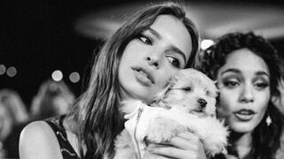 Emily Ratajkowski disfruta de "Con altura" , tema de J Balvin y Rosalía que revoluciona las redes