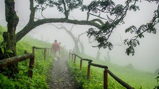 Lomas de Lachay: 5 buenos motivos para visitarla este fin de semana | FOTOS