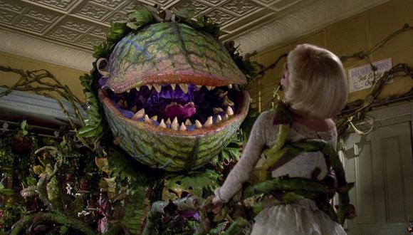 En la película "La Tiendecita del Horror" (1986) conocemos a Audrey, una planta carnívora que tiene especial predilección por la sangre y carne humana. Es una obvia exageración de lo que una planta de este tipo  en verdad hace. Ellas solo consumen insectos.