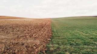 La erosión del suelo puede reducir la cantidad de cultivos a la mitad