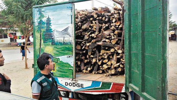 Tala ilegal depreda miles de hectáreas de bosque seco del norte