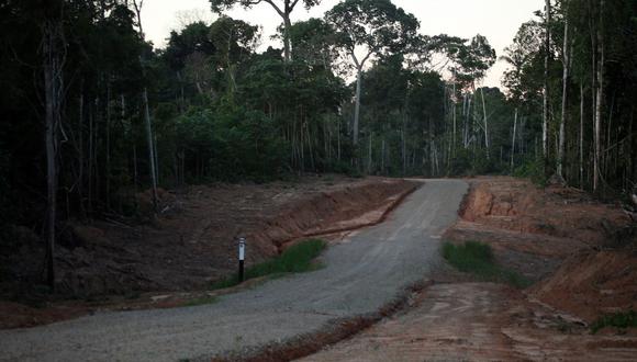 La tala ilegal va desapareciendo los bosques del país.  (Imagen referencial/GEC)