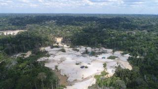 Autoridades y activistas analizan medidas para detener la deforestación en la Amazonía 