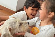 WUF: ‘Momo’, el perrito de albergue que llegó para completar la felicidad de dos niños