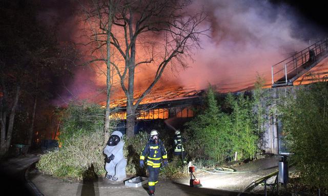 Los bomberos tratan de apagar el fuego en el zoológico en Krefeld, en Alemania.
(AFP / DPA / Alexander FORSTREUTER).
