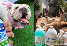 “Lab ECA” se une a WUF en el sueño de mejorar la vida de los perros de albergues
